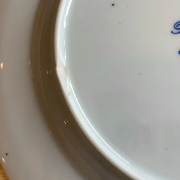 Blue Elbe By Sanyo Porcelain Plates Dinner Salad Bowl Blue Onion Floral Design - Picture 5 of 15